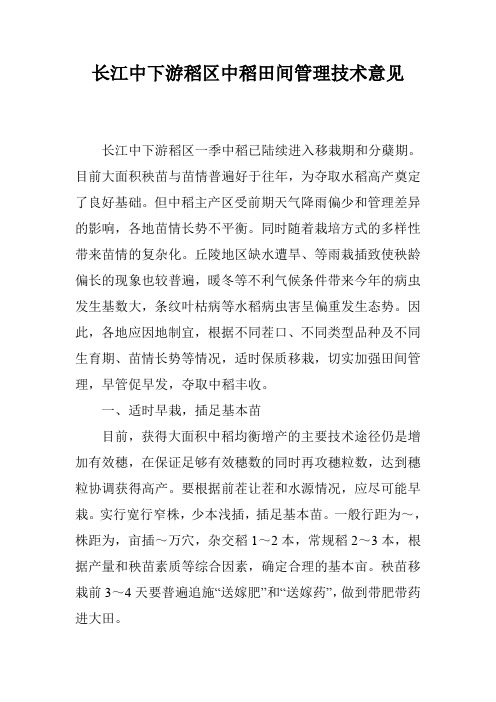 长江中下游稻区中稻田间管理技术意见