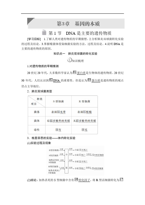 高中生物《DNA是主要的遗传物质》导学案+课时作业