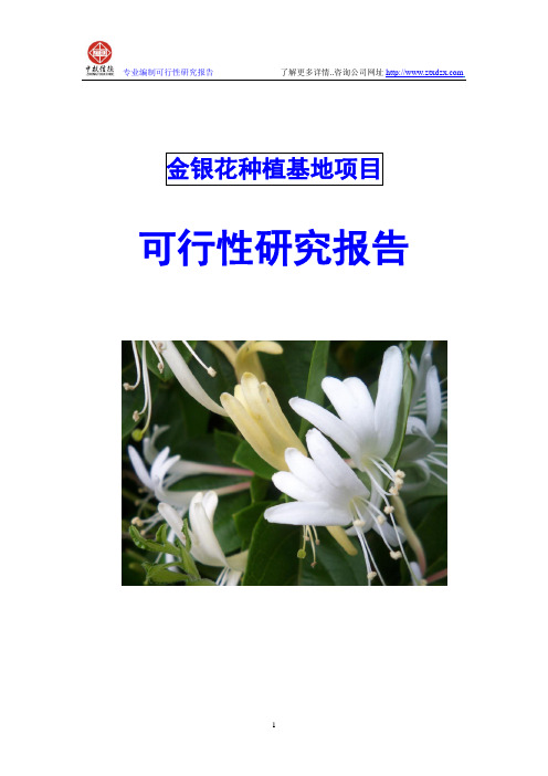 金银花种植基地项目可行性研究报告