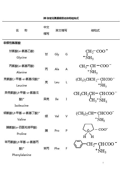 氨基酸结构式