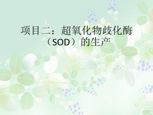 超氧化物歧化酶(SOD)生产