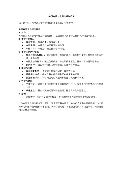 公司审计工作评价报告范文