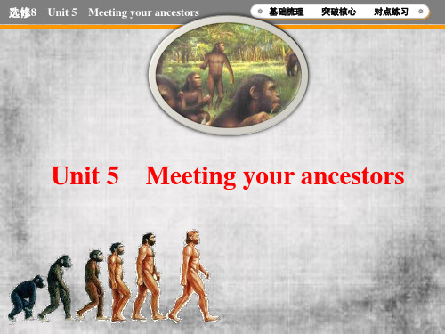 高三英语一轮复习优质课件2：Unit 5 Meeting your ancestors