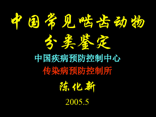 中国常见啮齿动物分类鉴定