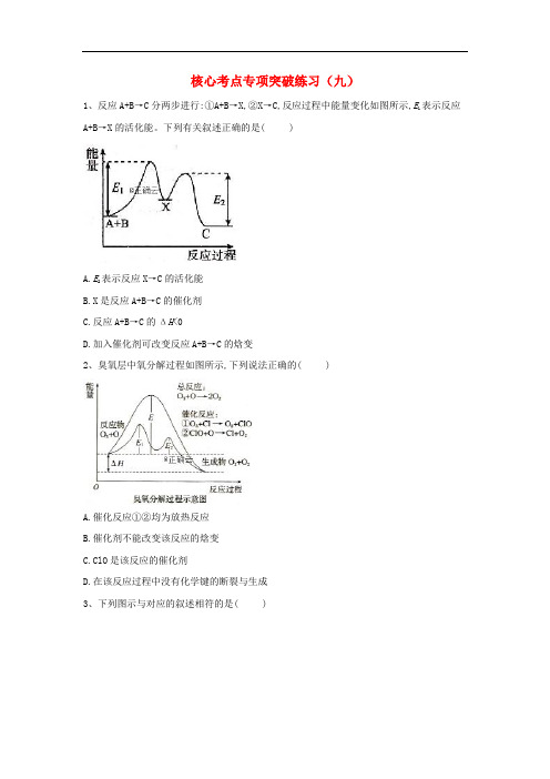 2019届高三化学二轮复习核心考点专项突破练习九含解析20190416344