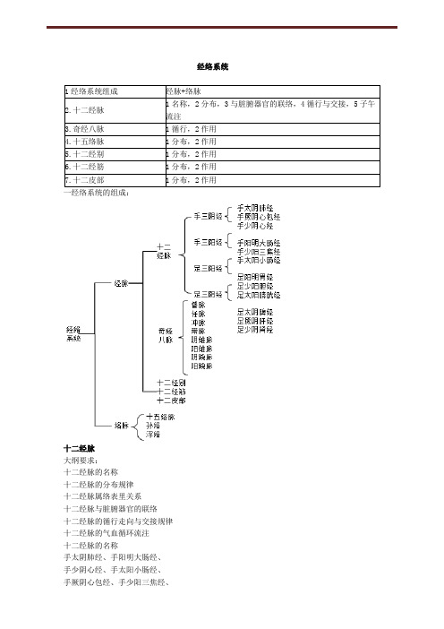 经络系统讲义