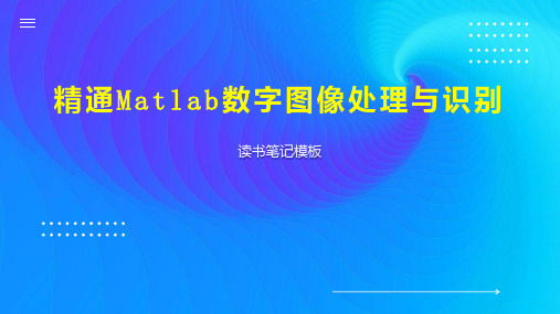 精通Matlab数字图像处理与识别