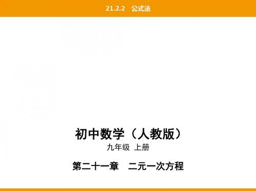 第二十一章21.2.2公式法