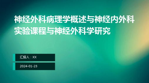 神经外科病理学概述与神经内外科实验课程与神经外科学研究