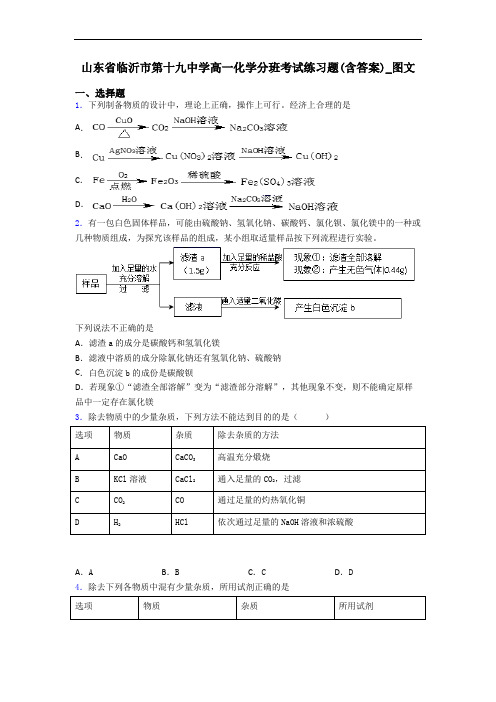 山东省临沂市第十九中学高一化学分班考试练习题(含答案)_图文