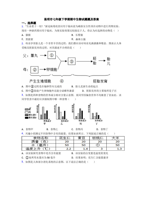 昆明市七年级下学期期中生物试题题及答案