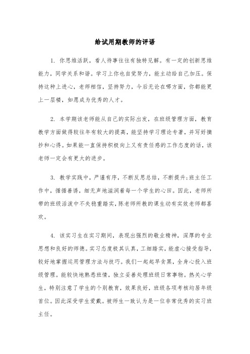 给试用期教师的评语（2篇）