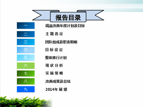 精益示范线项目计划与改善报告