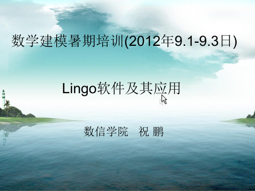 Lingo软件及其应用(2012)