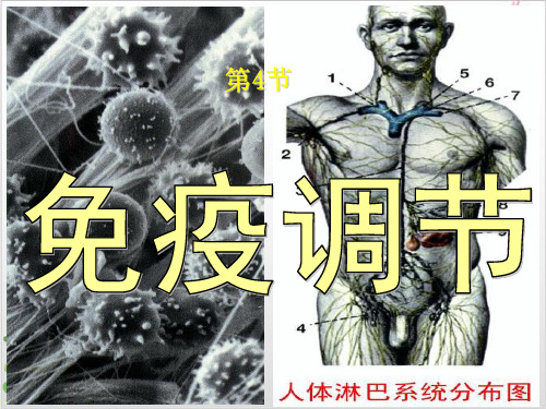 人教版高中生物必修三人体免疫调节课件三个课份-ppt精品课件2