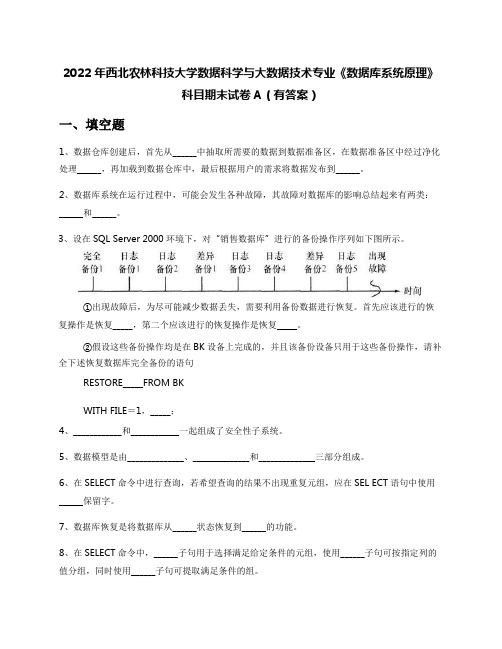 2022年西北农林科技大学数据科学与大数据技术专业《数据库系统原理》科目期末试卷A(有答案)