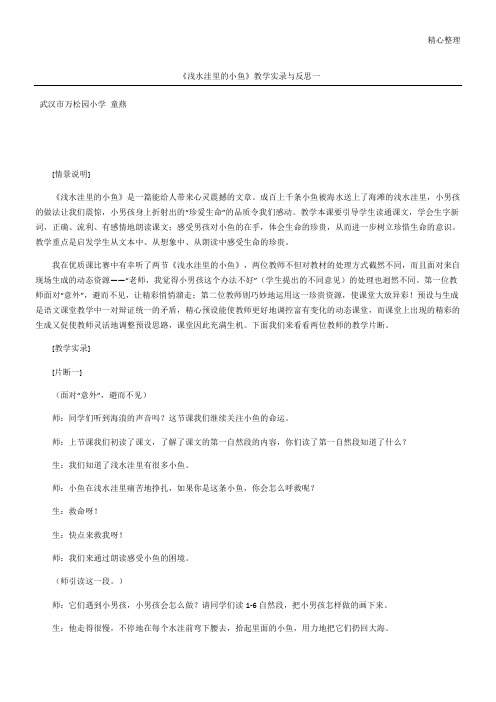 《浅水洼里的小鱼》教学实录与反思一
