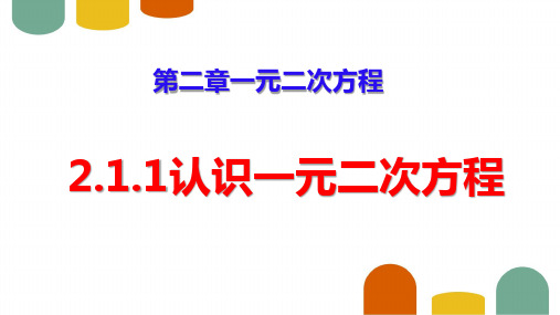 北师大版九年级数学上册.1认识一元二次方程课件