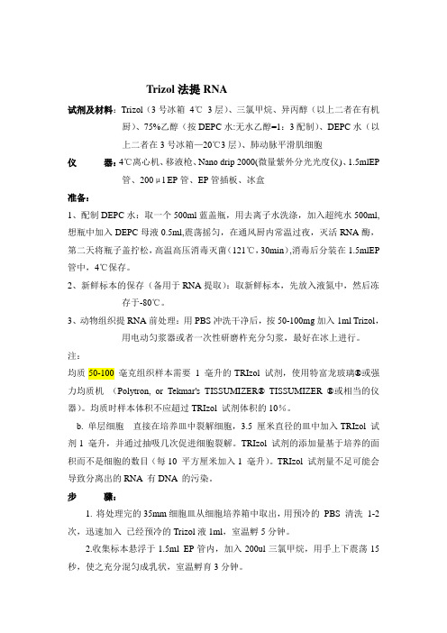 Trizol法提取细胞中RNA及逆转录合成cDNA