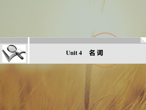 最新-2018年高考英语二轮复习 考点突破 Unit4 名 词课件 精品 