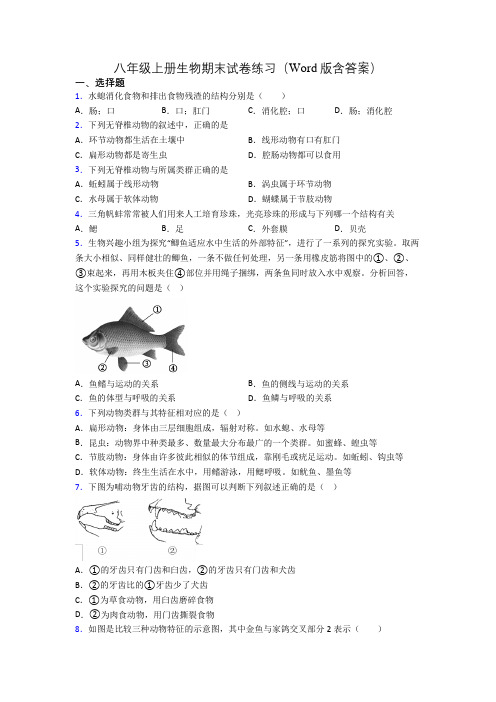 八年级上册生物期末试卷练习(Word版含答案)