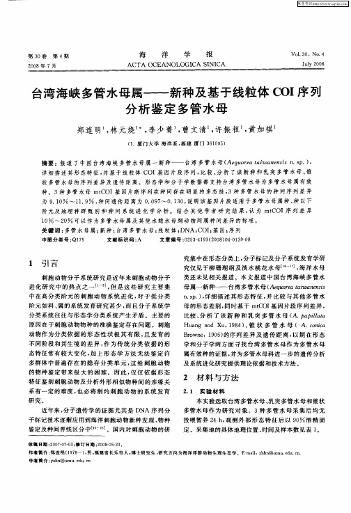 台湾海峡多管水母属——新种及基于线粒体COI序列分析鉴定多管水母