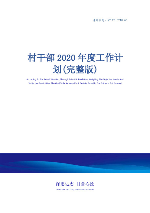 村干部2020年度工作计划(完整版)