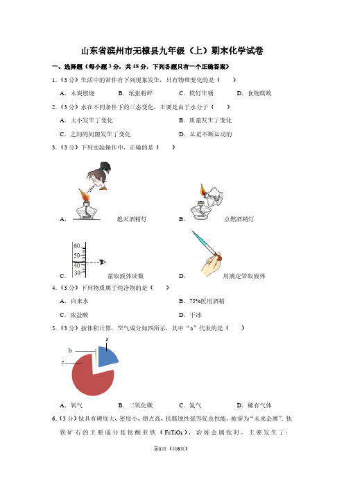 山东省滨州市无棣县九年级(上)期末化学试卷 (2)