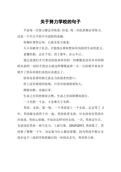 关于努力学校的句子