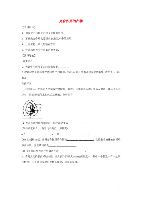 八年级生物上册3.3.1光合作用的产物学案(无答案)(新版)冀教版