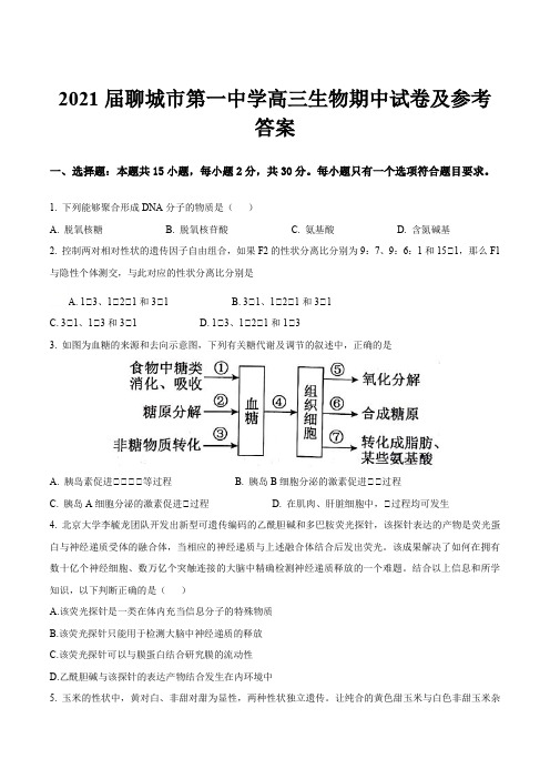 2021届聊城市第一中学高三生物期中试卷及参考答案