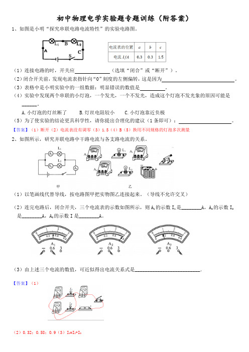 初中物理电学实验题专题训练(带答案)