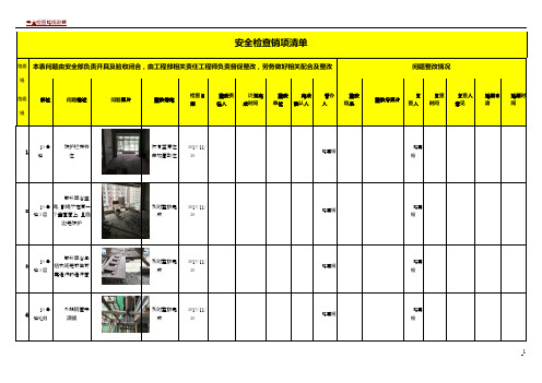 安全检查销项清单11.20