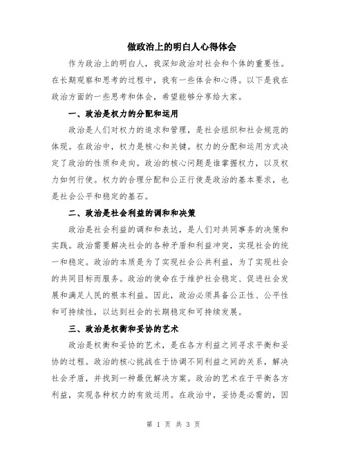 做政治上的明白人心得体会