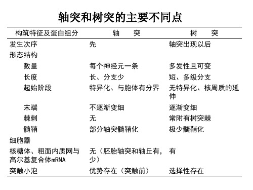 神经生物学  总结