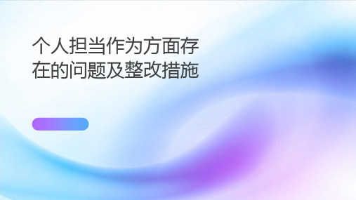 个人担当作为方面存在的问题及整改措施