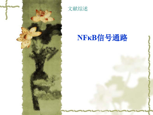 NFkB信通路简介