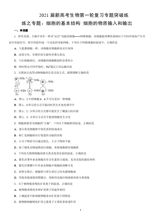 新高考生物第一轮复习专题突破练 细胞的基本结构 细胞的物质输入和输出(含答案)