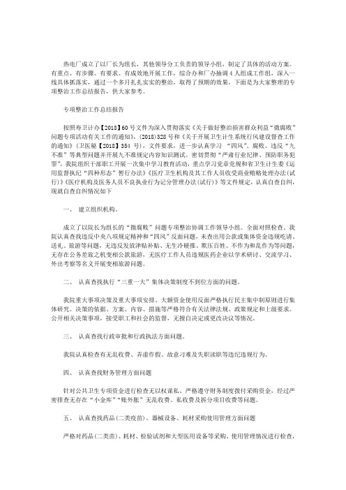 最新专项整治工作总结报告