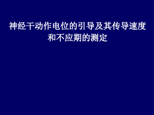 神经干AP引导及其传导速度和不应期的测定