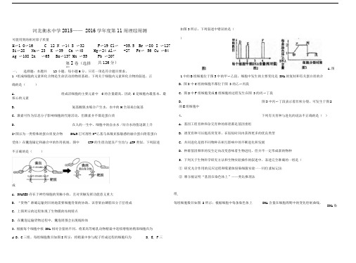 第11周理综周测合卷及答案