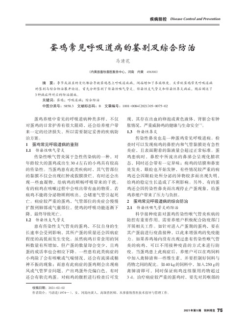 蛋鸡常见呼吸道病的鉴别及综合防治