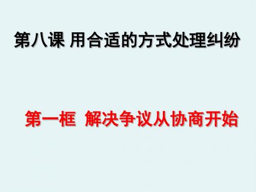 鲁人版道德与法治九年级上册8.1解决争议从协商开始  复习课件(共18PPT)