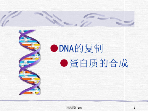 DNA的复制、转录、翻译