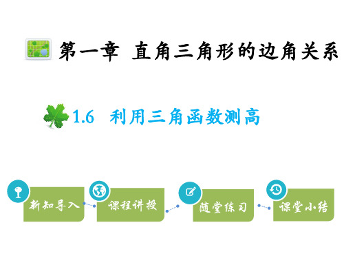 2020届北师大版九年级数学下册教学课件：1.6 利用三角函数测高(共19张PPT)