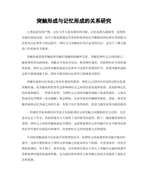 突触形成与记忆形成的关系研究
