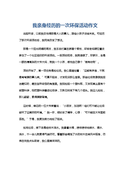 我亲身经历的一次环保活动作文