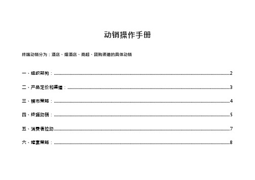 动销操作手册(可编辑修改word版)