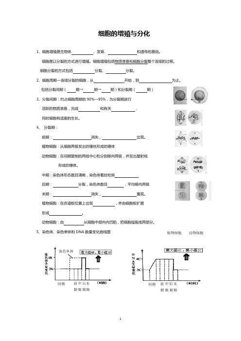 高中生物《细胞的增殖与分化》学考复习学案