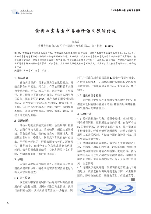 禽黄曲霉毒素中毒的诊治及预防措施